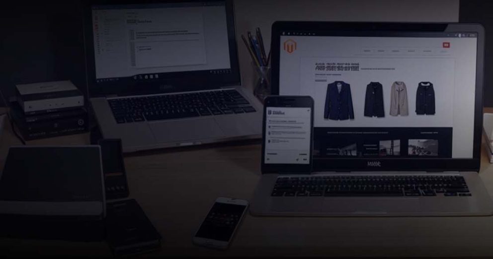 custom magento development