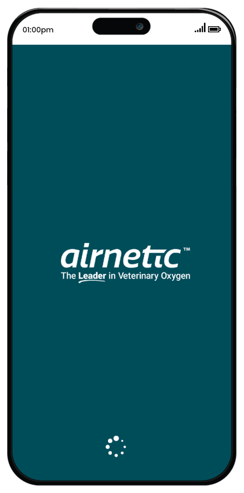 airnetic 1